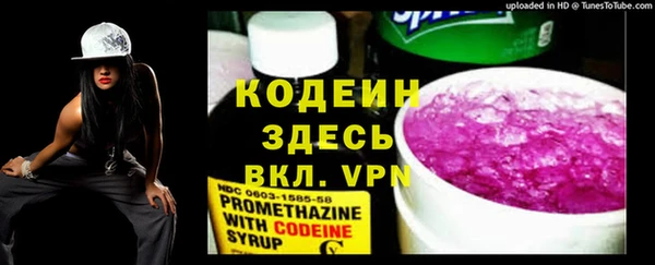 твердый Новодвинск