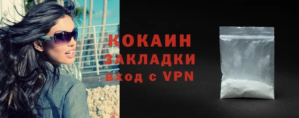 твердый Новодвинск