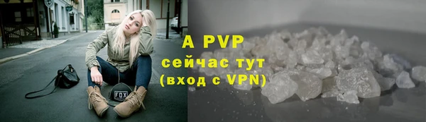 a pvp Бородино