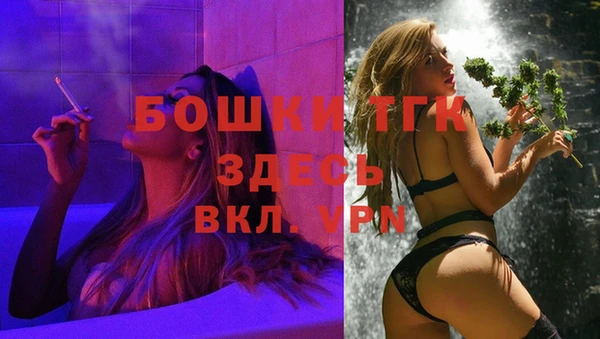 твердый Новодвинск