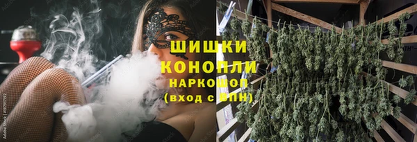 твердый Новодвинск