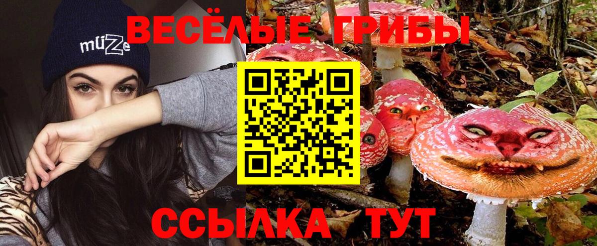 Галлюциногенные грибы Magic Shrooms Саров