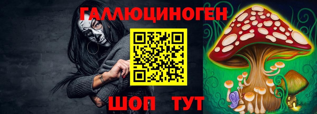 Галлюциногенные грибы Psilocybine cubensis  Вход с VPN  Галлюциногенные грибы Cubensis  Саров 